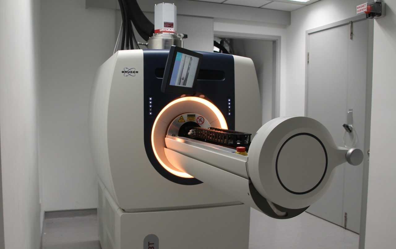 Preclinical 3T MRI