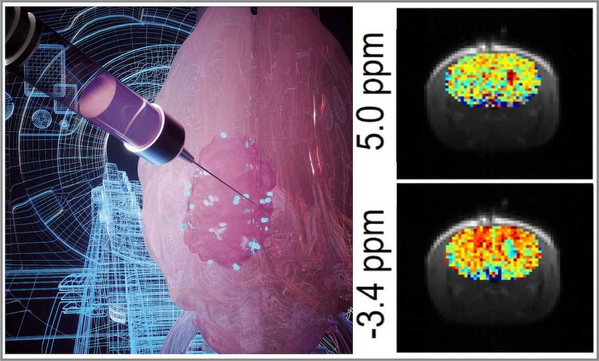 Imaging Nanotherapeutics