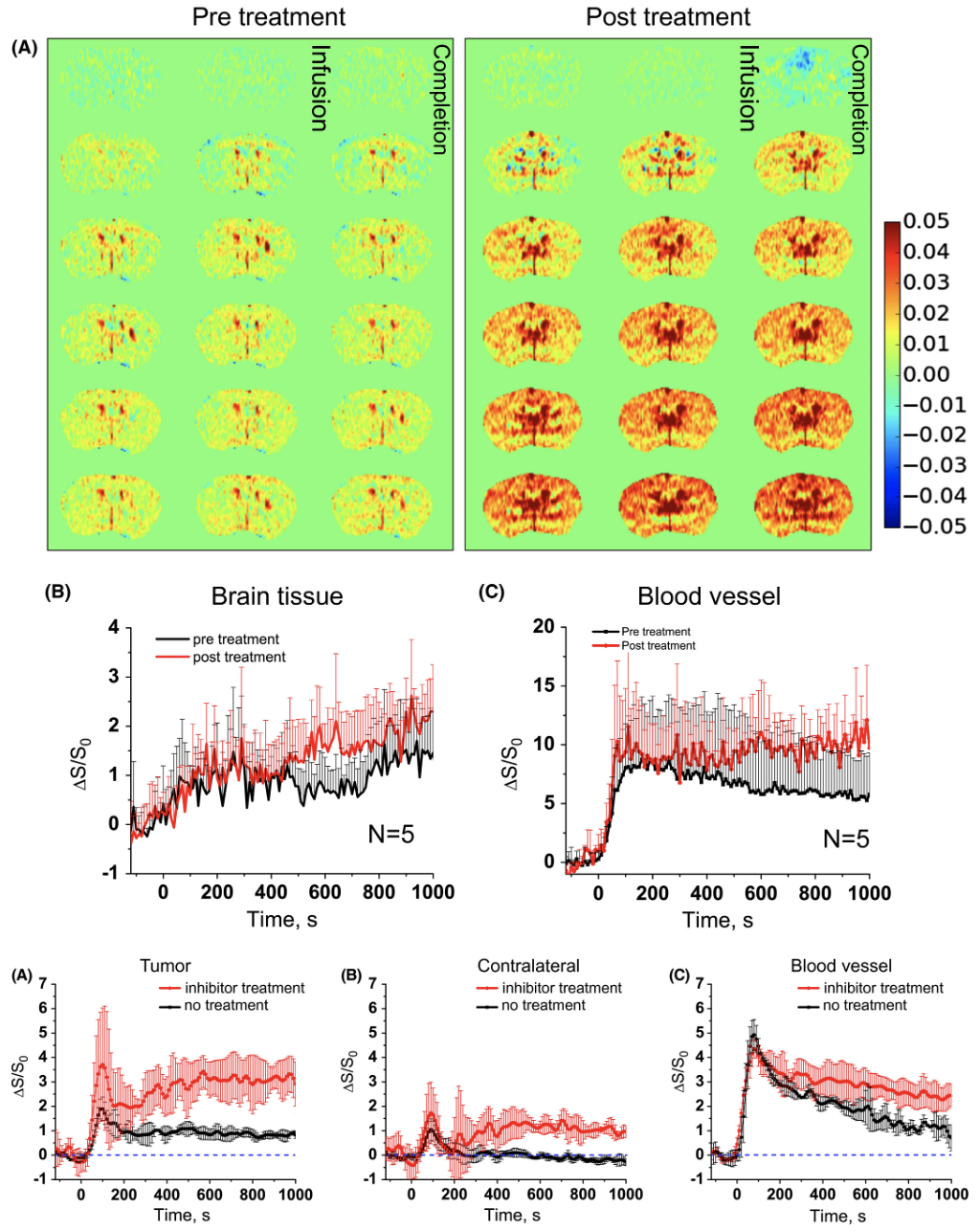 The effect of the mTOR inhibitor rapamycin on glucoCEST signal in a preclinical model of glioblastoma