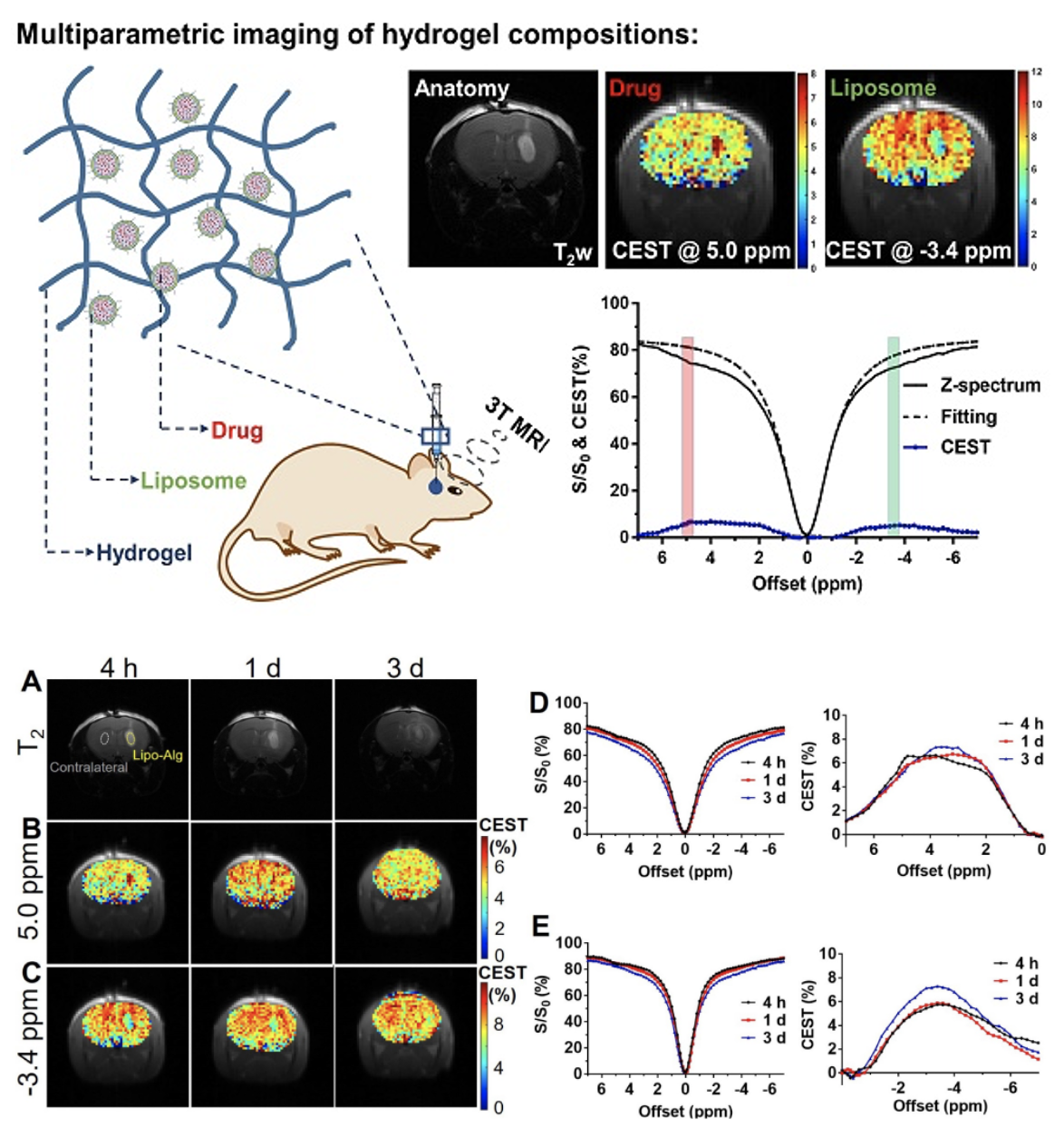 CEST MRI detectable liposomal hydrogels for multiparametric monitoring in the brain at 3T