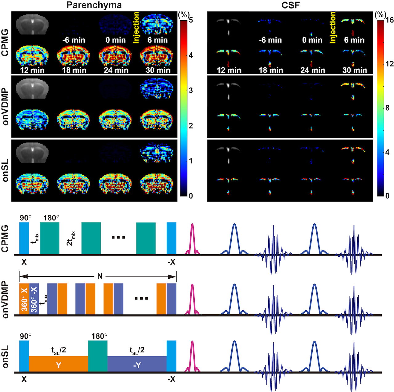 Sensitivity schemes for dynamic glucose-enhanced magnetic resonance imaging to detect glucose uptake and clearance in mouse brain at 3 T