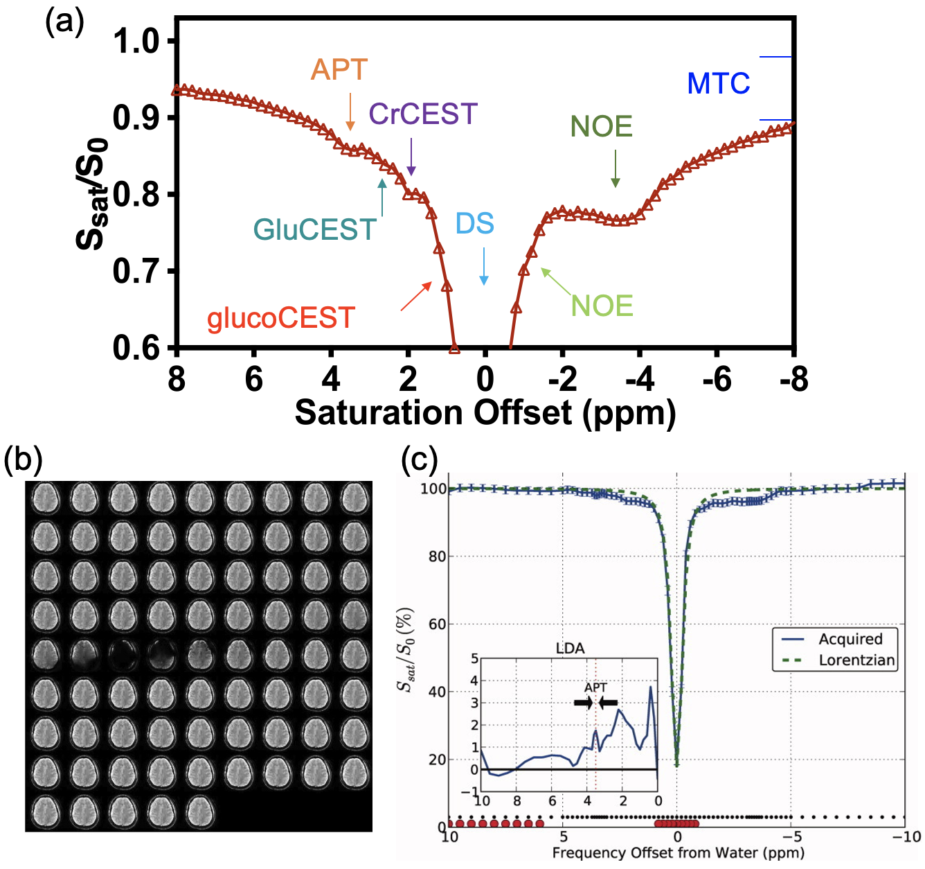 Molecular Imaging of Brain Tumors and Drug Delivery Using CEST MRI: Promises and Challenges