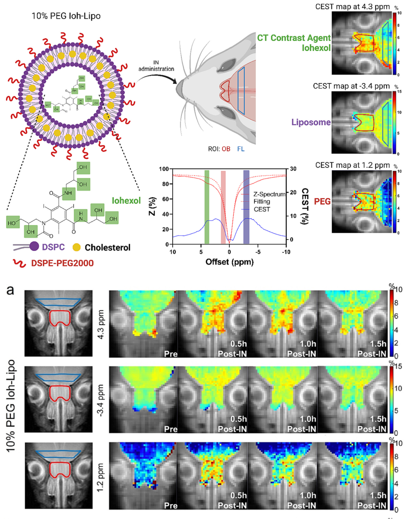 Multiple CEST contrast imaging of nose-to-brain drug delivery using iohexol liposomes at 3T MRI